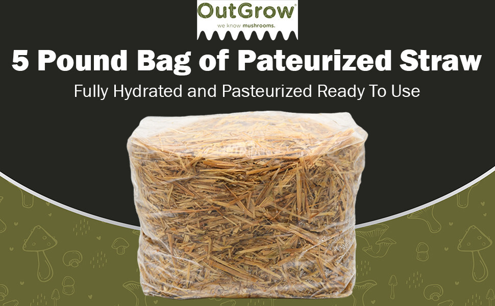 Pasteurized Wheat Straw Mushroom Substrate – 5 lb Grow Bag
