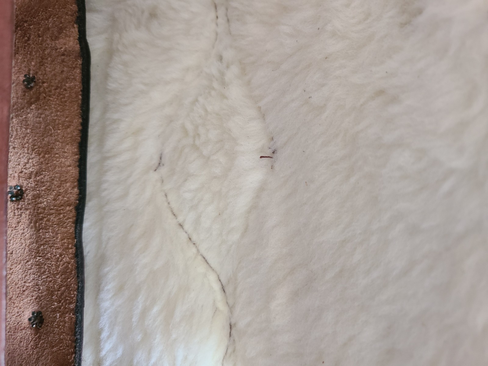 Circle Y Western Saddle Bag Leather Shearling Lined Vintage Riding Accessory