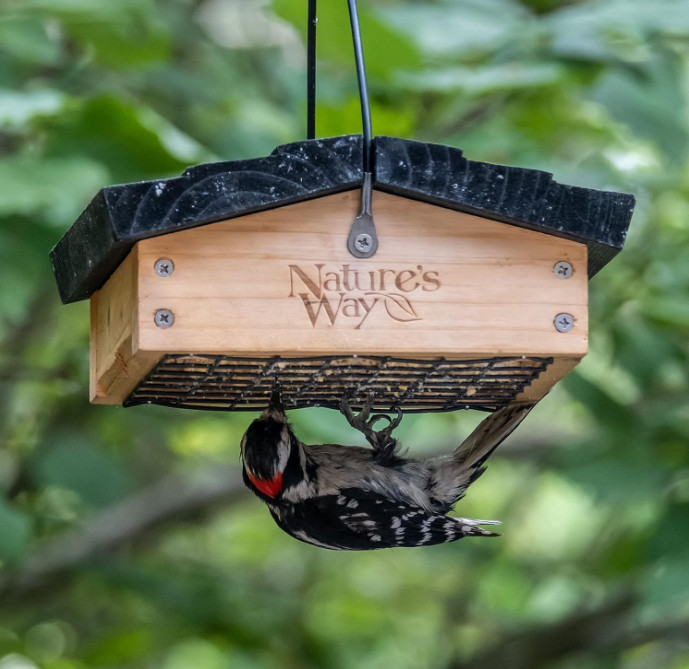CWF2 Cedar Suet Upside-Down Bird Feeder, Black
