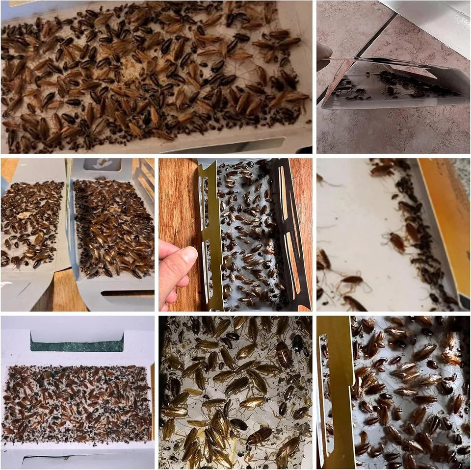 20 Pack Roach Traps, Cockroach Traps Indoor Home, Glue Roach Traps, Safe