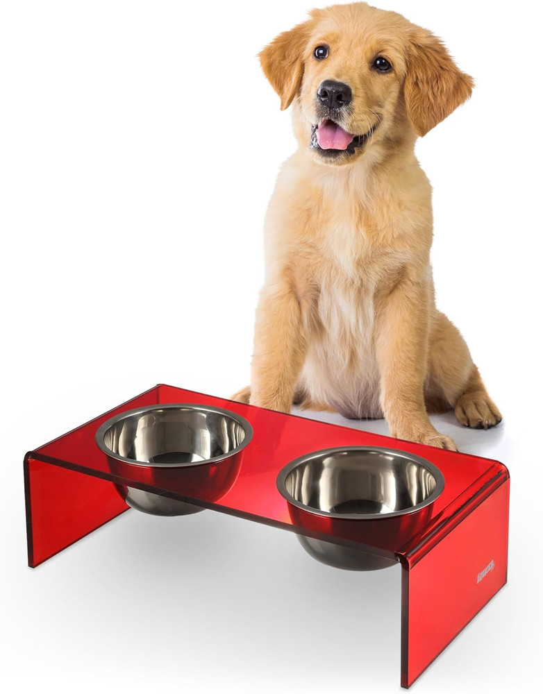 DBL2000H Keaton 5" Small/Medium Modern Acrylic Rectangular Elevated Pet Feeder w