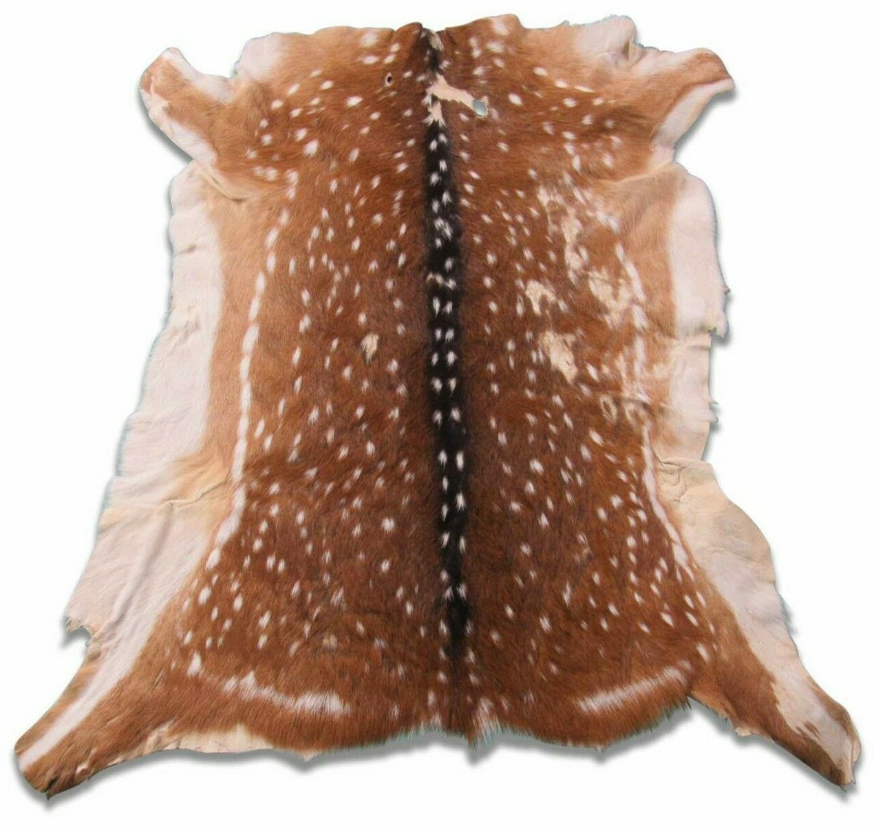 Axis Deer Skin Second Grade -Axis Deer Hide Size: 38"X30" Cheetal deer buck hide