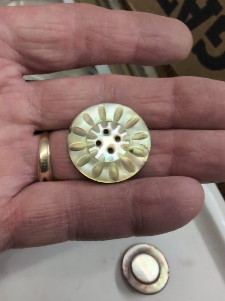 (10) Ablone Shell Buttons