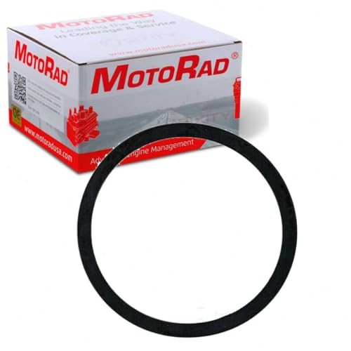 MG81EA Engine Coolant Thermostat Seal