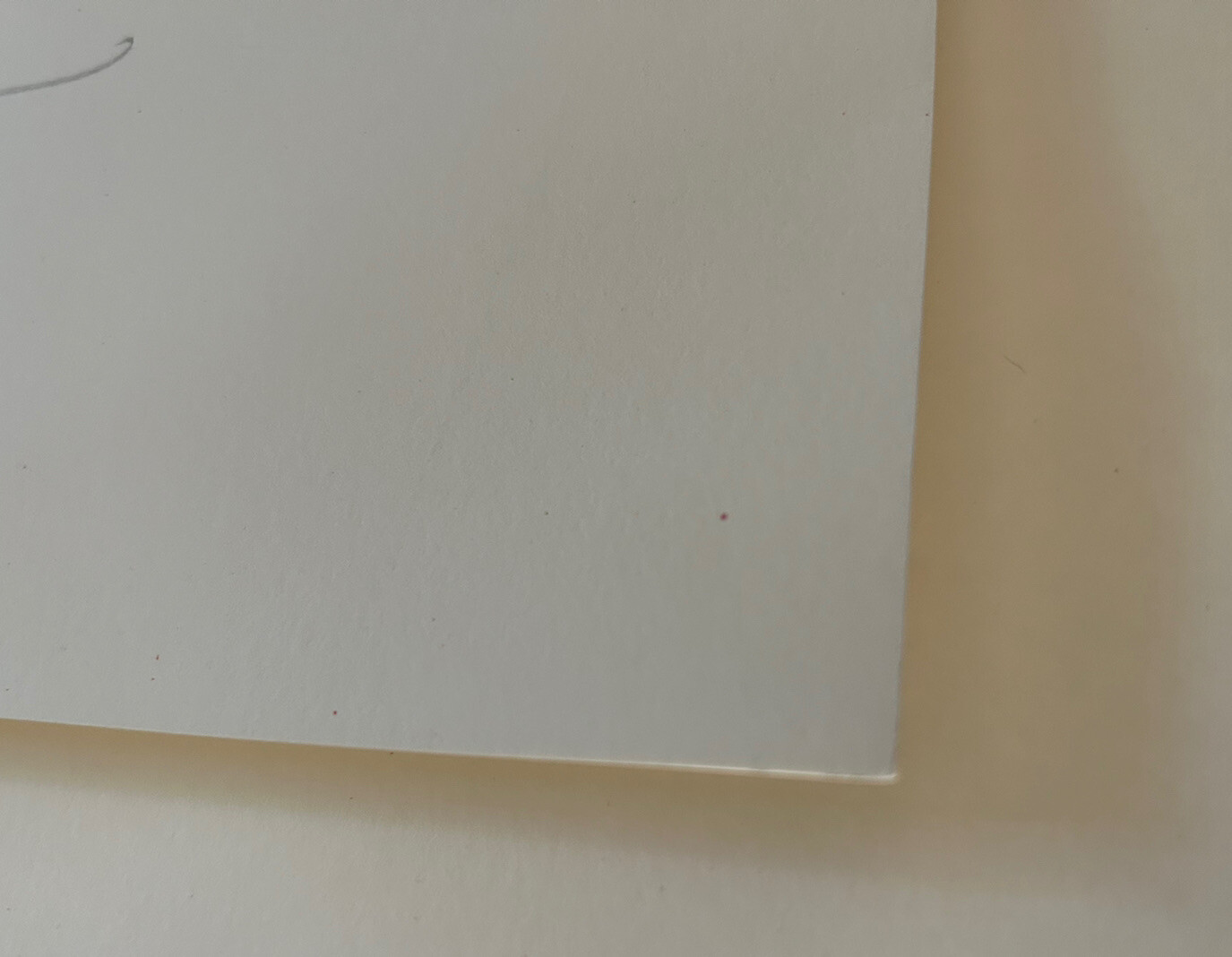 Stanley Mouse POSTER Kelley Hand SIGNED FD29 Janis Joplin Big Brother #d Print