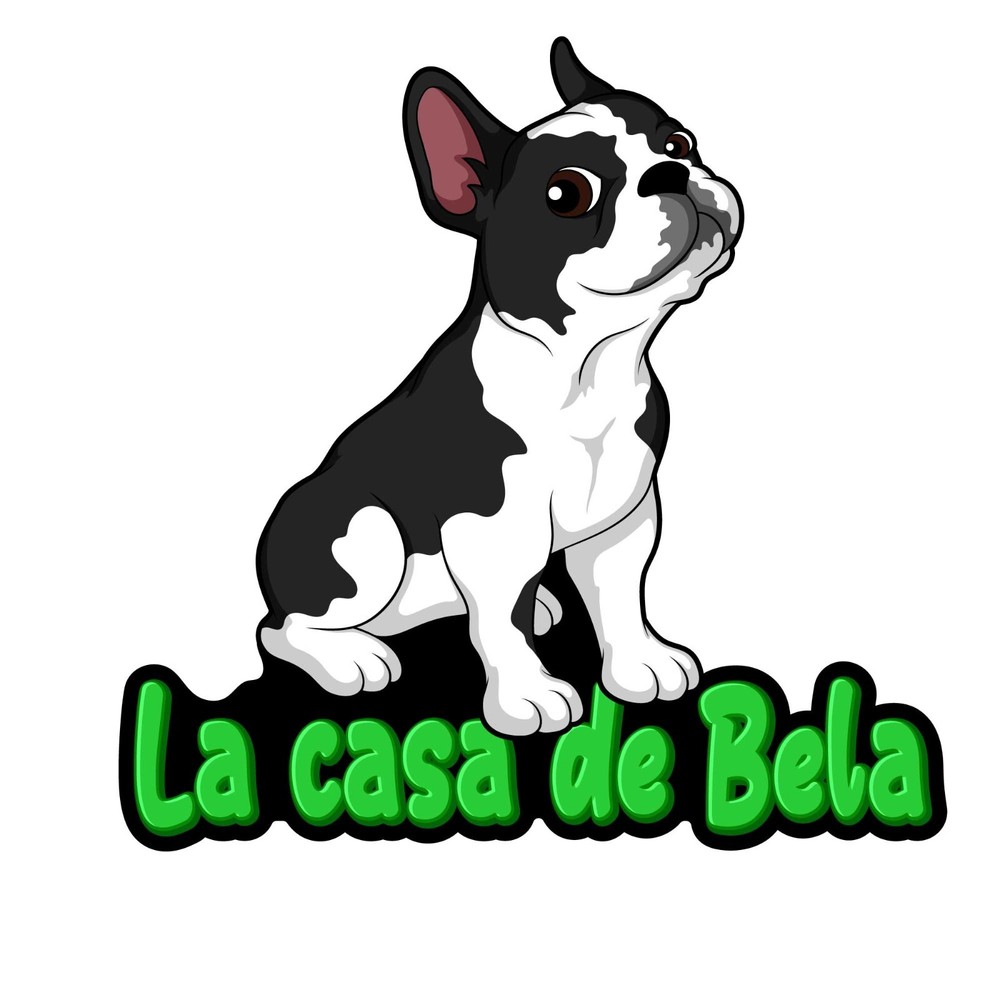 PROFESSIONAL MASCOT CARTOON LOGO DESIGN WITH SOURCE FILES