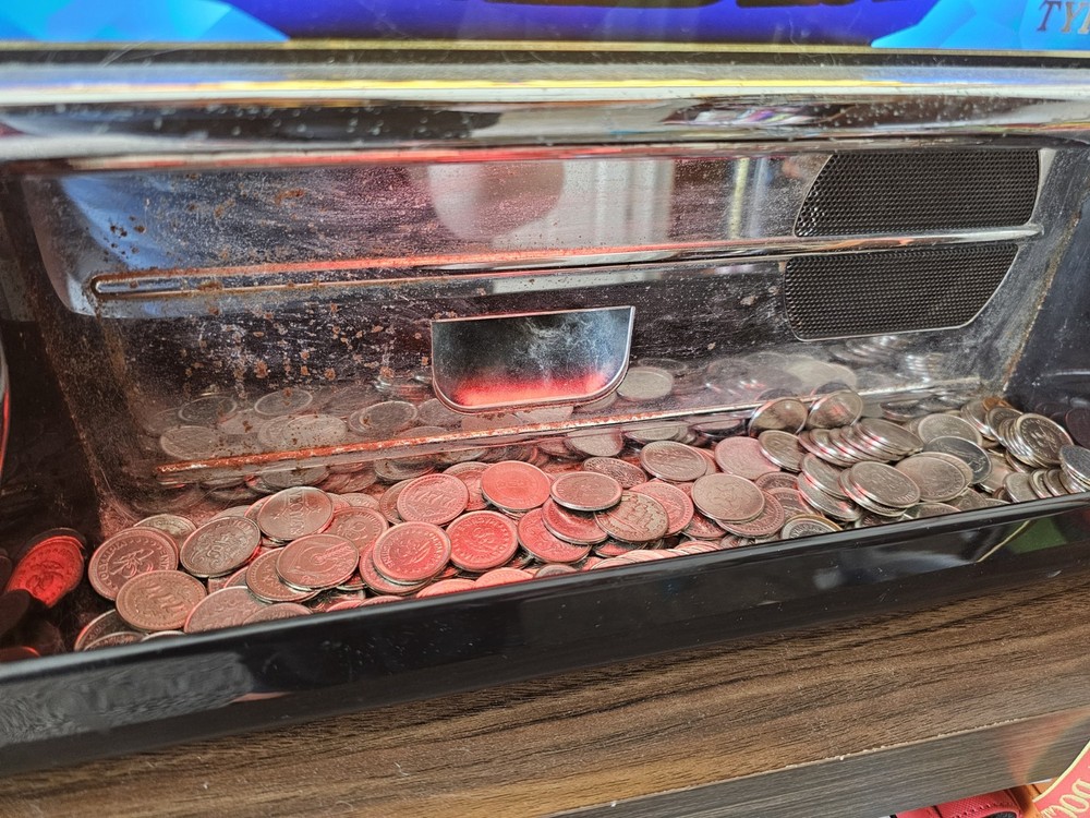 Penguin Paradise Token Slot Machine