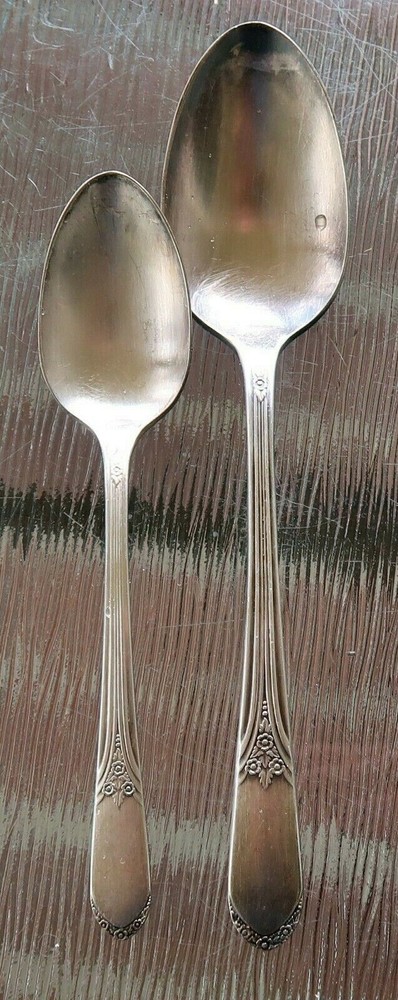 WM. ROGERS International DEVONSHIRE Soup SPOON & Teaspoon