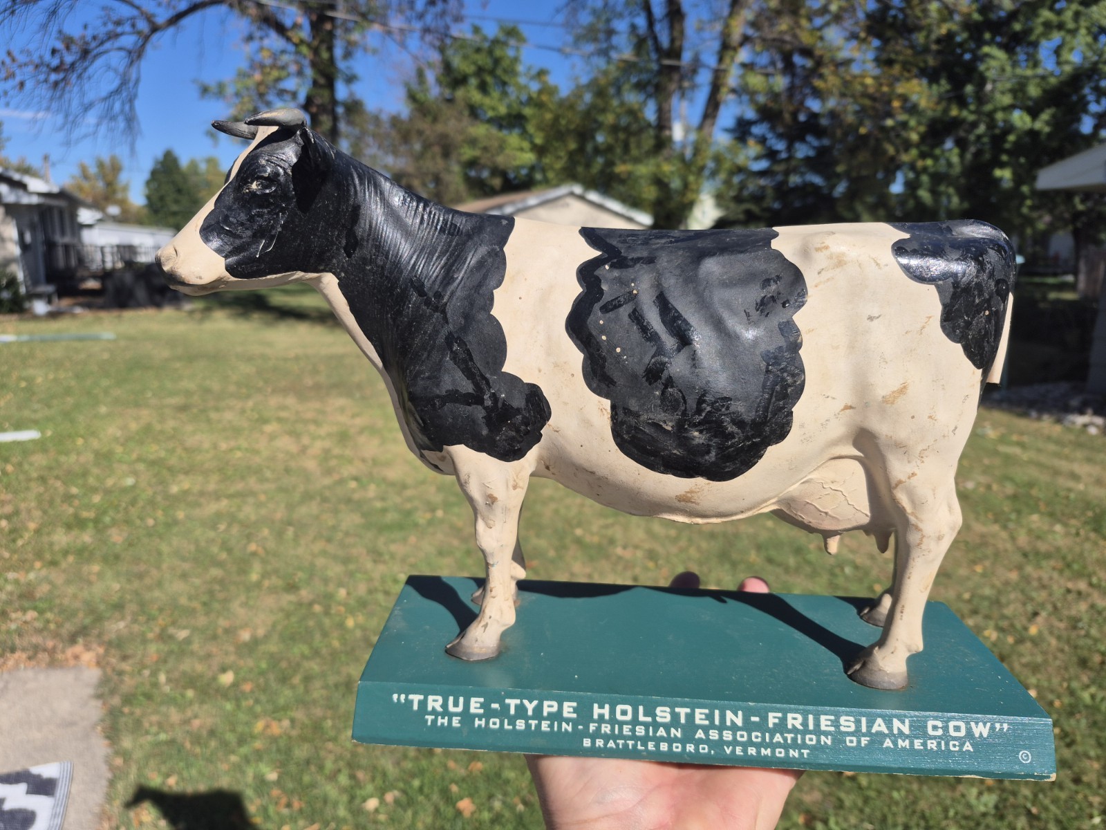 Vtg 1950s True Type Holstein Friesian Large Cow Brattleboro VT Store Display