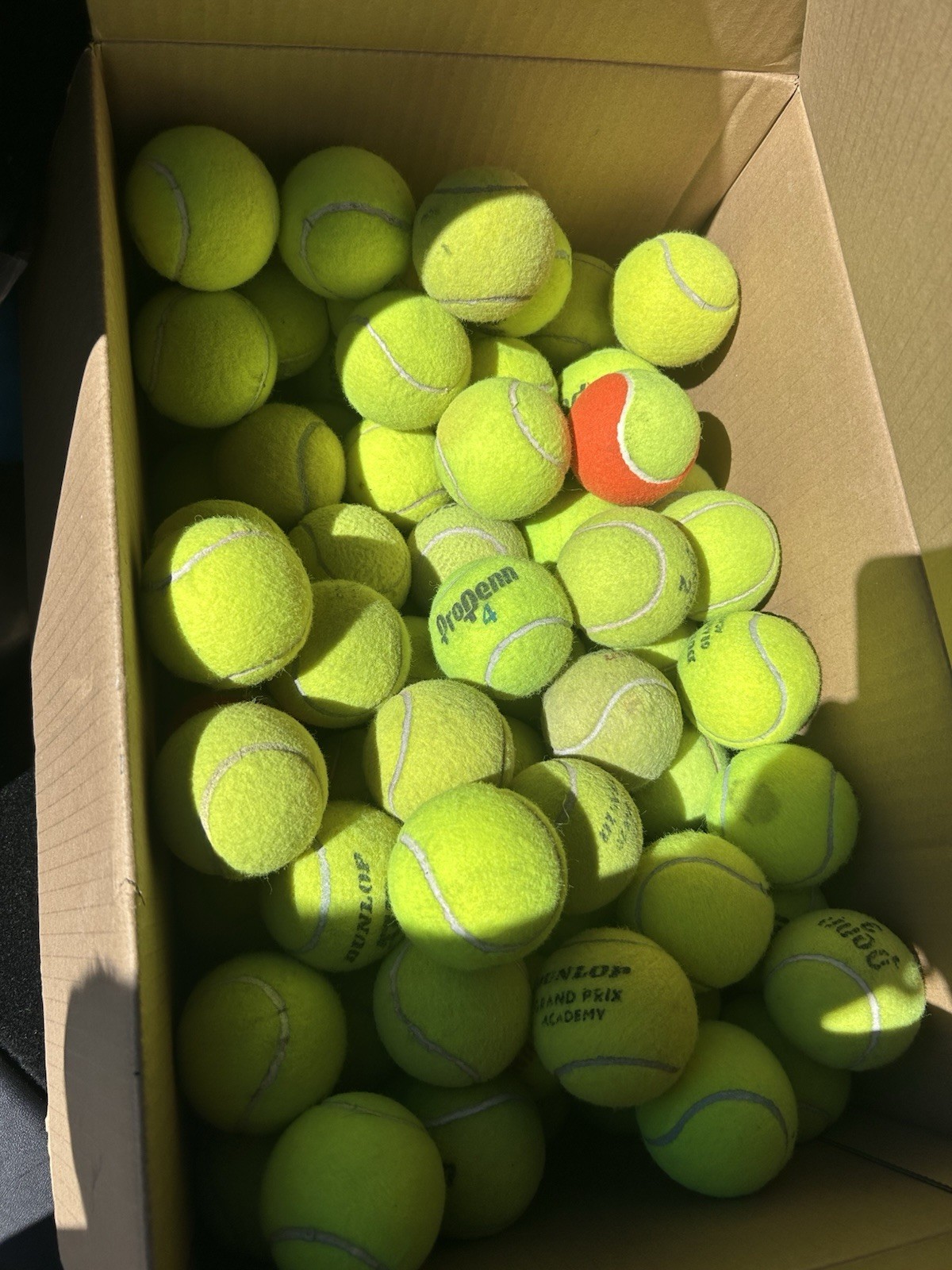 100+ Used Tennis Balls Various Brands Great for DOGS