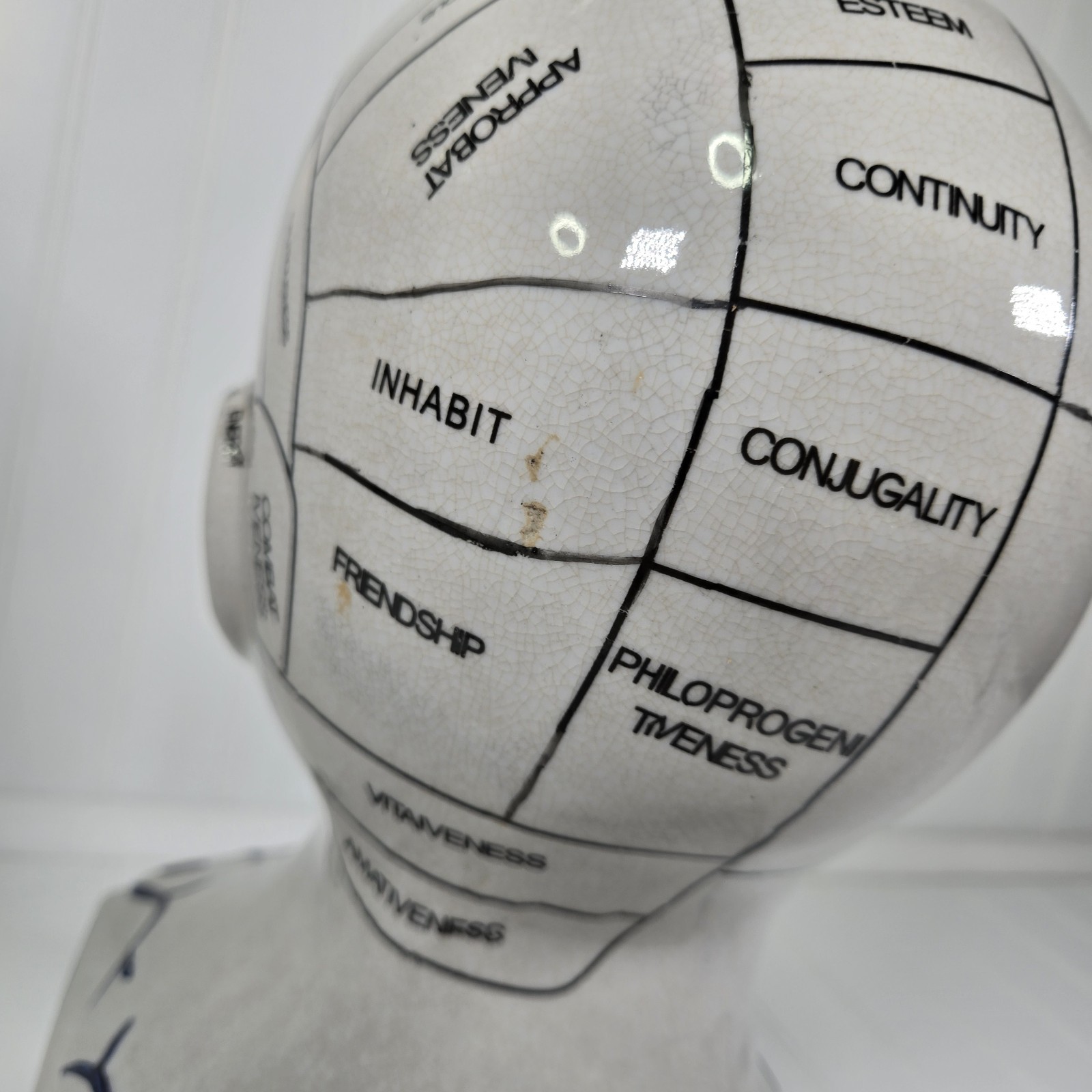 Phrenology Bust Table Head Statue 13” Ceramic Vintage Porcelain Pseudoscience