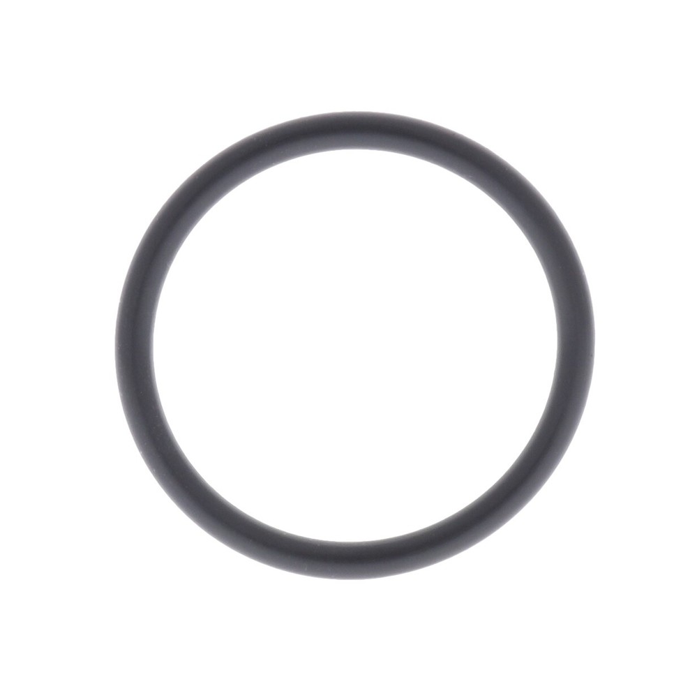 Dema Chemical Support Cylinder O-Ring