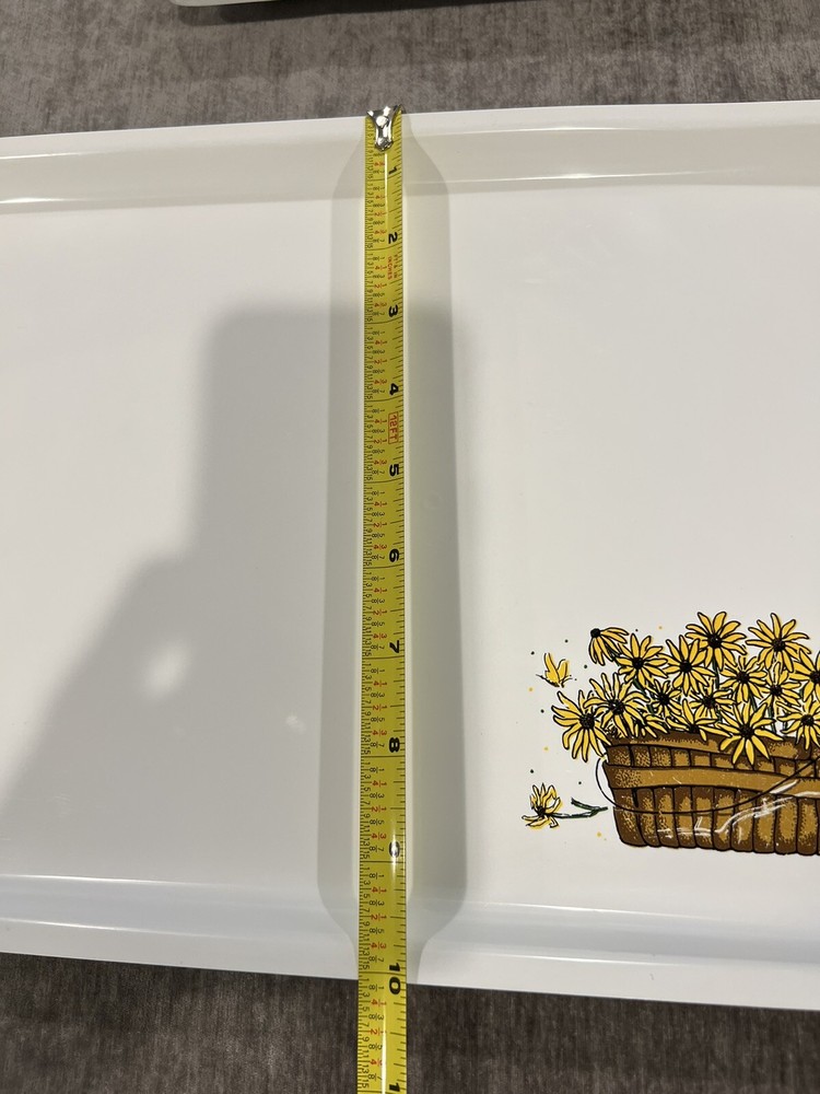 RARE Sterilite Trays-8