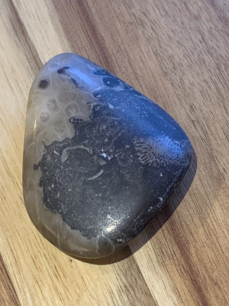 Petoskey Stone Polished