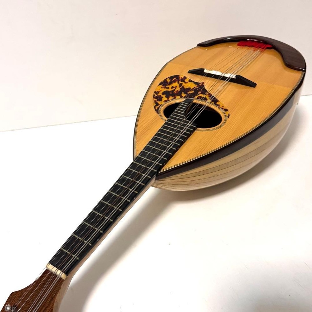 Good condition MONOPIA Mandolin with hard case included
