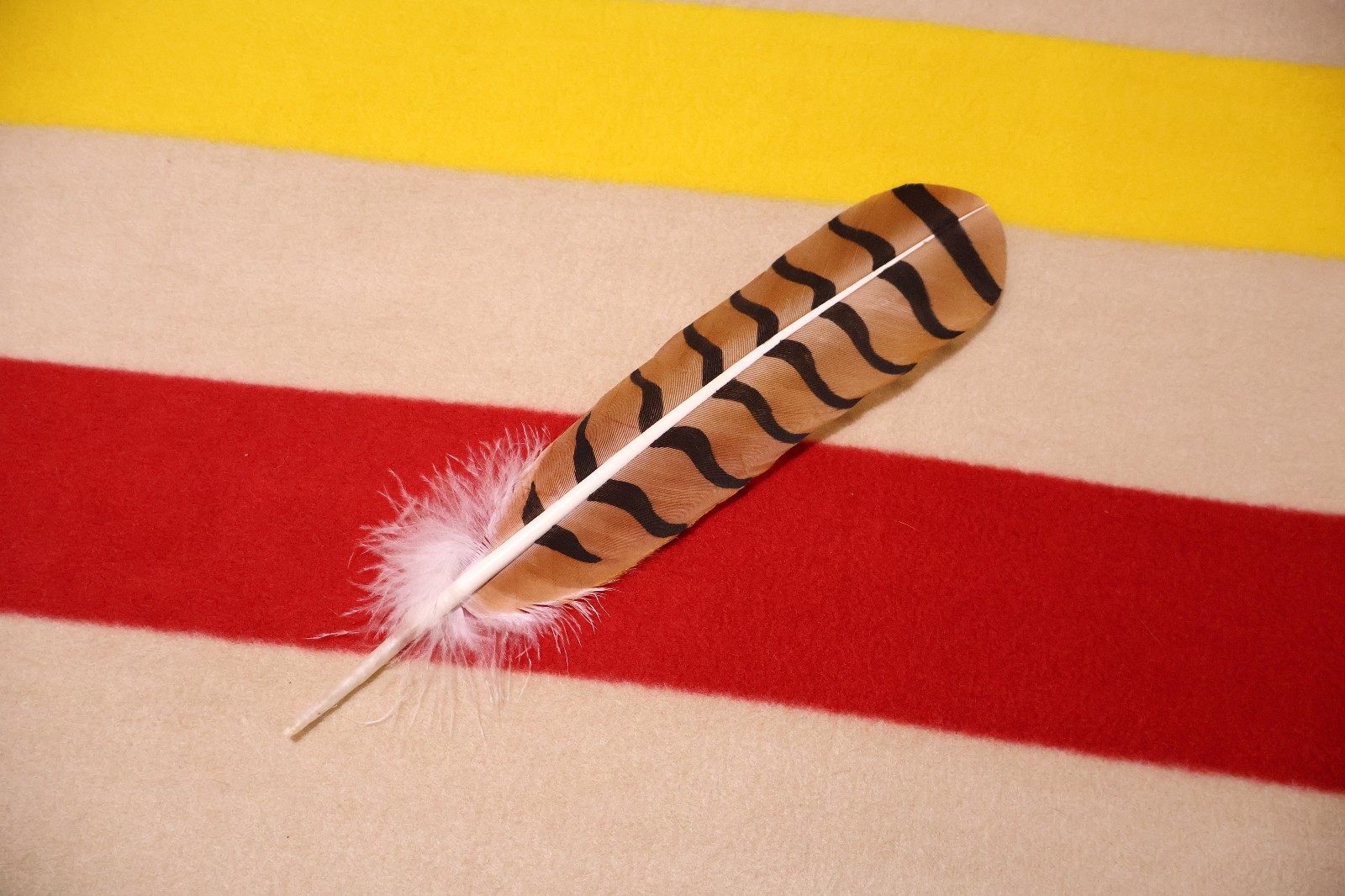Native American hand painted Red-Tailed Hawk Feather