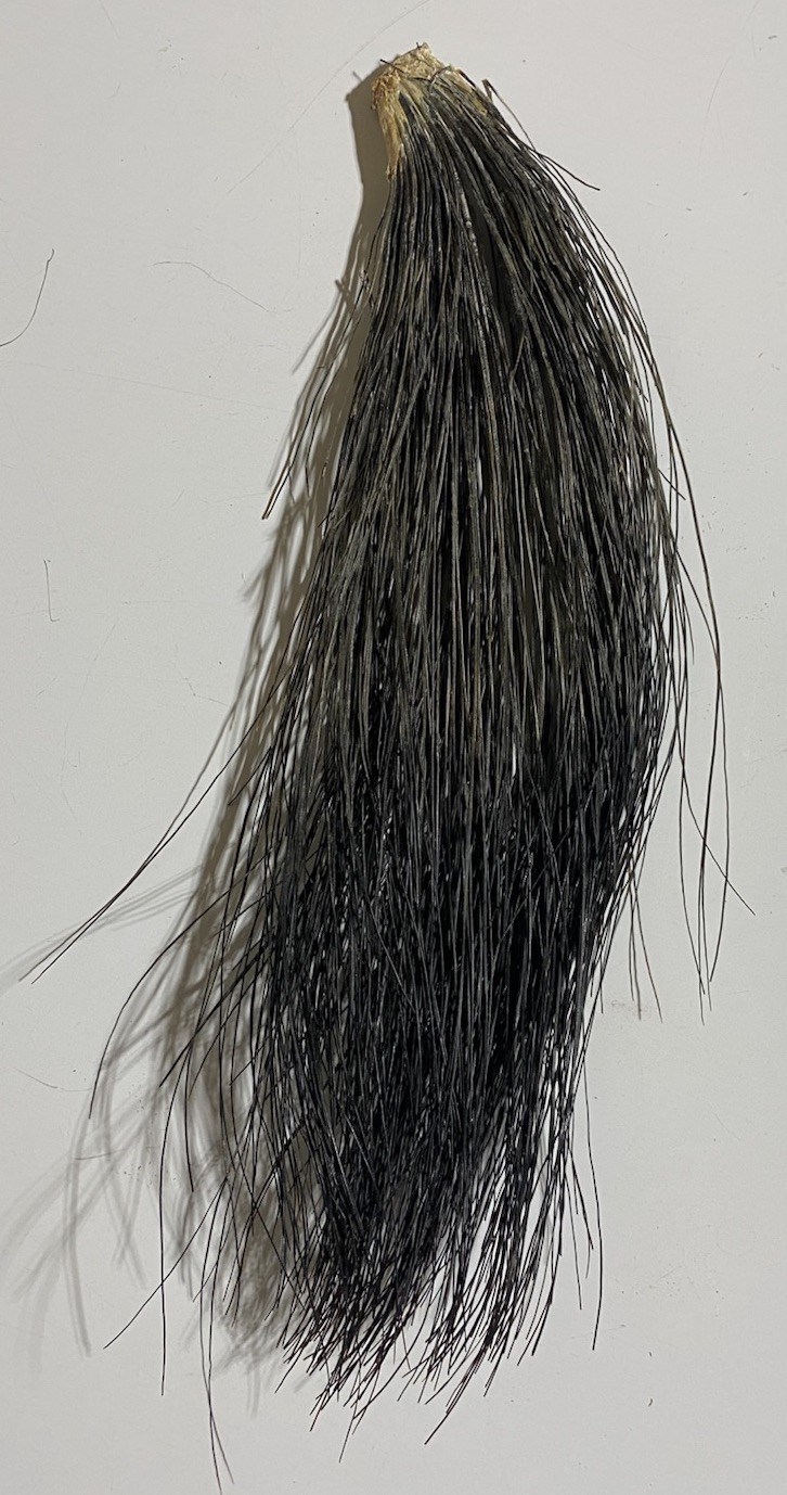 Lot Of 4 Eastern Wild Turkey Beards - Turkey Hunting 7-10” Gobbler Taxidermy