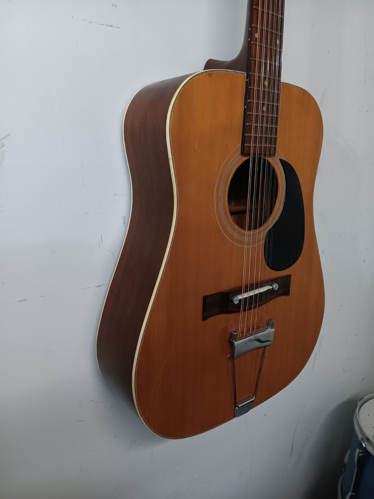 pan acoustic 12 string w/case