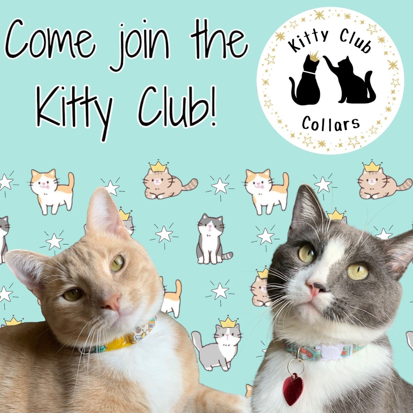 Cat Collar- "Mac and Cheese" Adjustable Breakaway Safety Quick-Release Collar