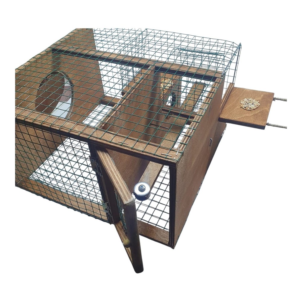 Strong Model Sparrow Bird Trap. Non Stop Condition. Elevator Type Trap Bird Live