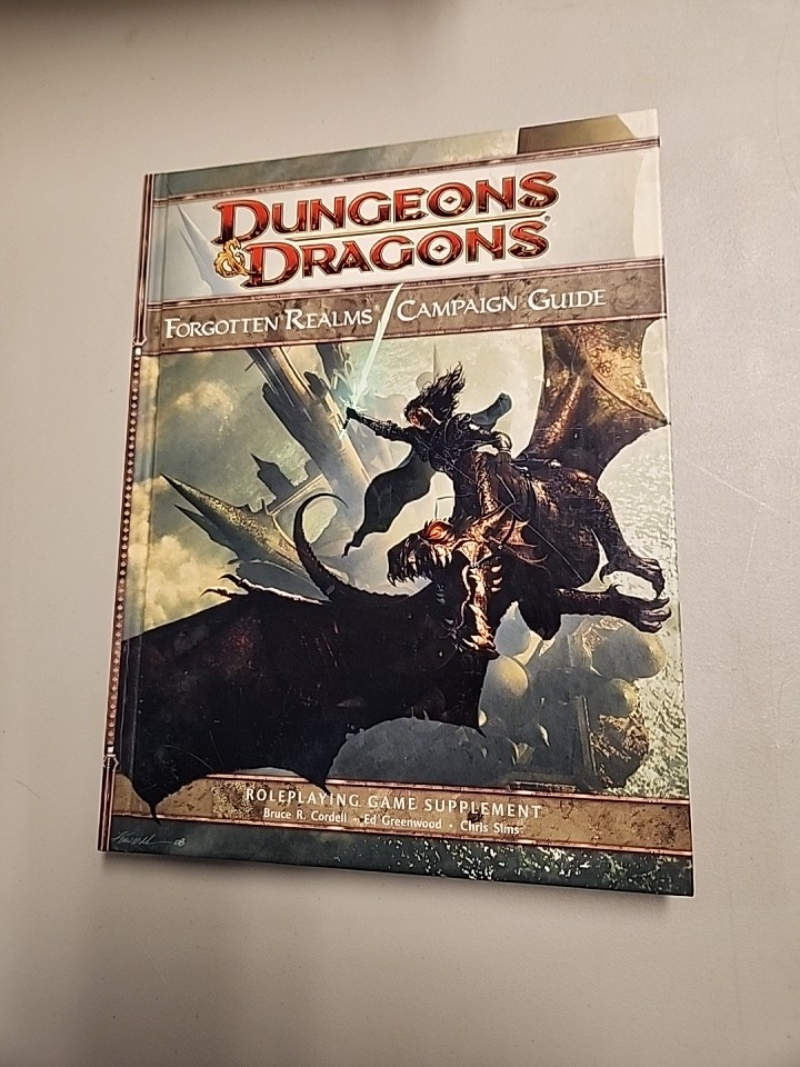 D&D Campaign Guide - Forgotten Realms 4E