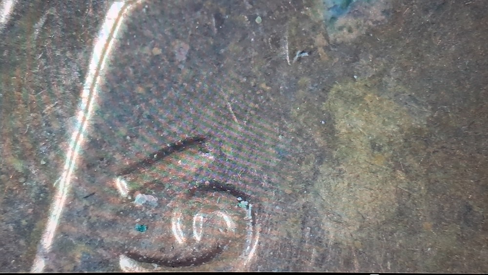 1968,MACHINE DOUBLED OBVERSE Possible Planchet Error, 1968 D, Red #611