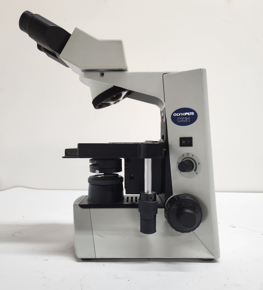 Olympus CX31 Microscope CX31RBSFA ~ No Objectives ~ Repair