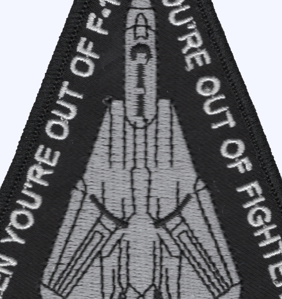 F-14 TOMCAT Airframe Patch