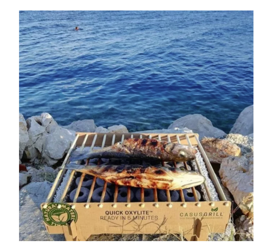 CasusGrill Disposable Single-Use Eco Quick Light-Up BBQ