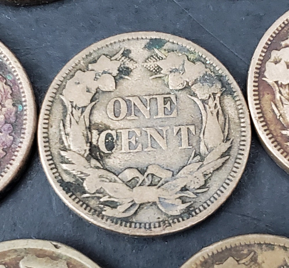 9 Mixed Flying Eagle & Indian Cent Collection