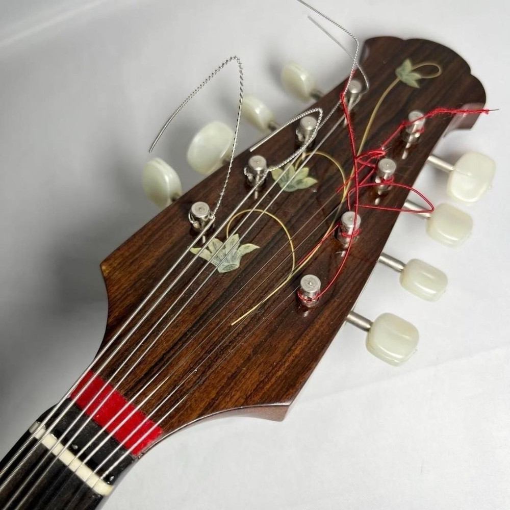 Mandolin Raffaele Calace Type15 raffaele calace