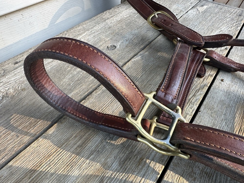Horse Tack - Leather Track Halter