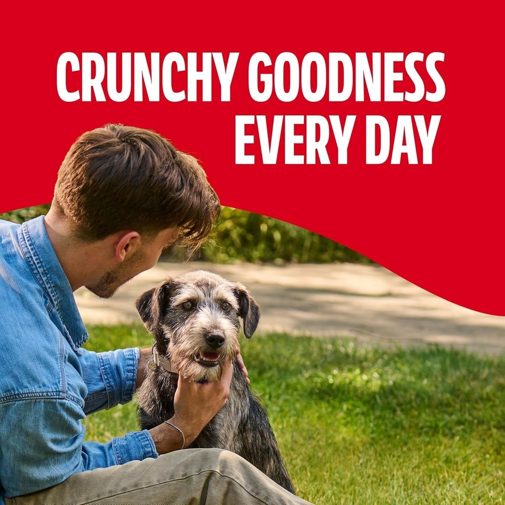 Nutritious 10 lb Beef-Flavored Biscuits for Medium Dogs - Rawhide-Free
