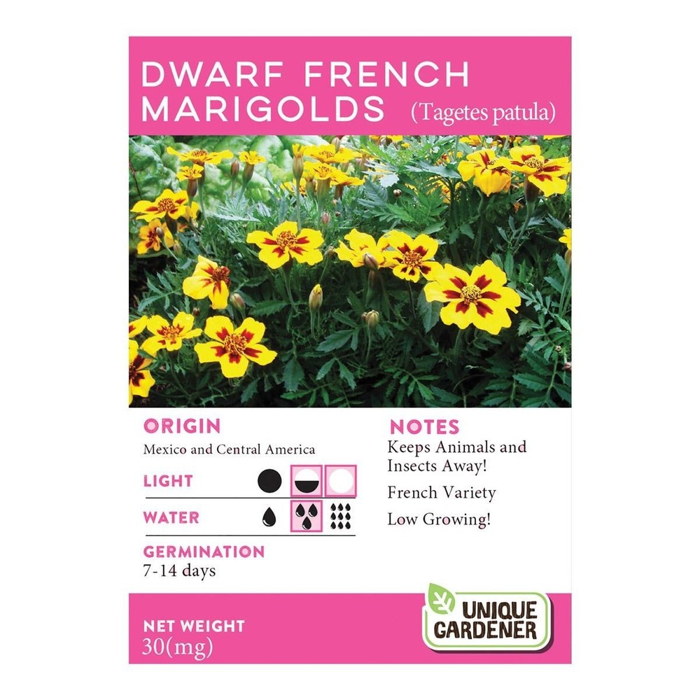 Silver Circle Growing Flowers Classroom Kit