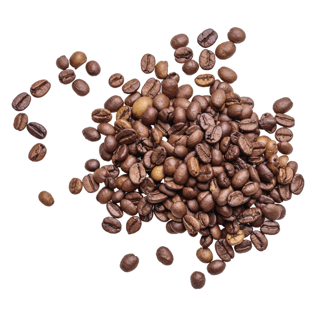 5 lbs of AUTHENTIC Kona Extra Fancy Coffee - Free Shipping!