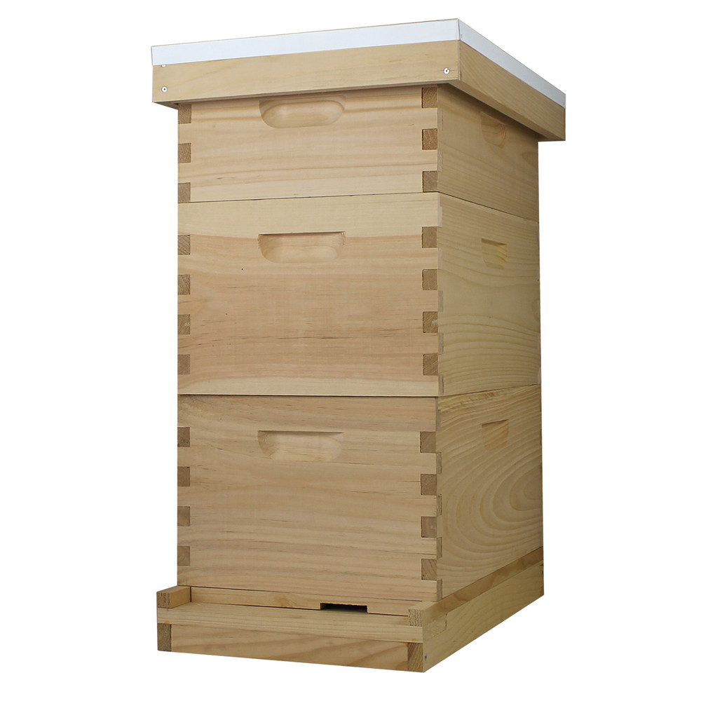 8 Frame Complete Beehive Kit – Amish-Made with 2 Deep & 1 Medium Boxes, Frames &