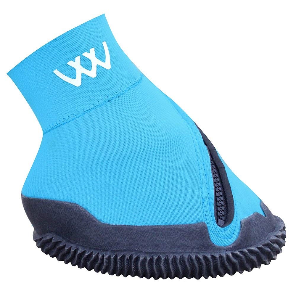 Hoof Boot 6