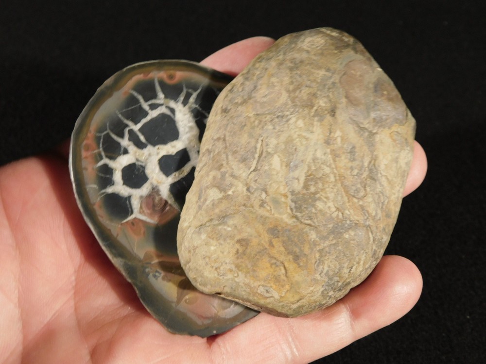 Neat Lighting Like Pattern! Split and Polished SEPTARIAN Nodule Morocco 253gr