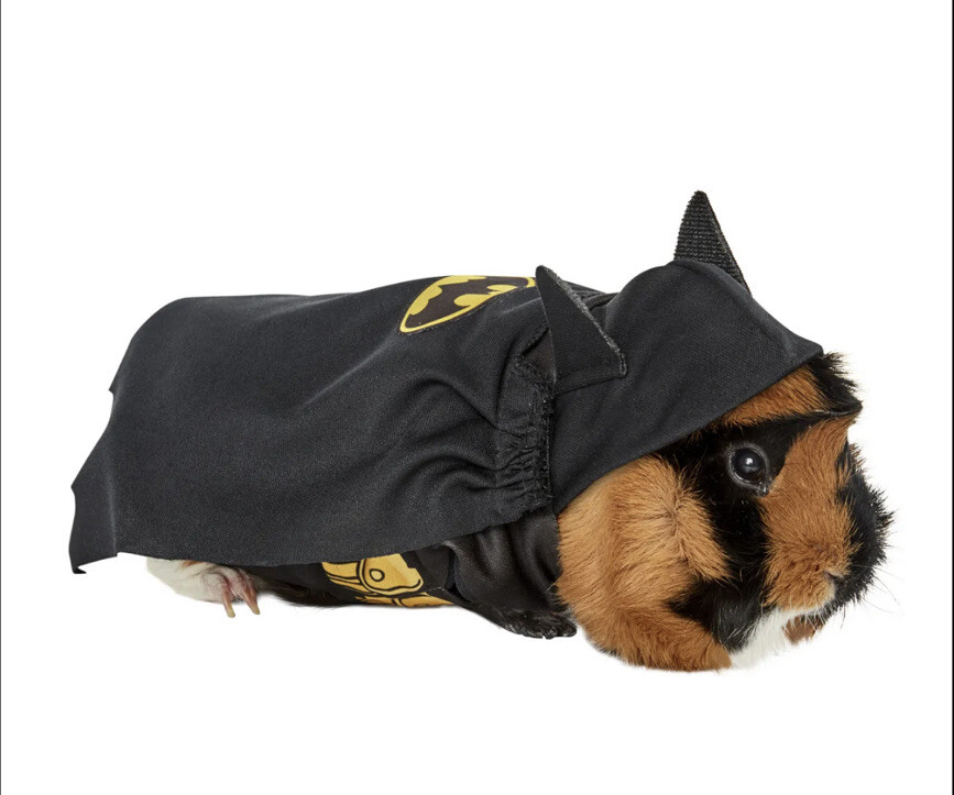 Batman Small Pet Costume One Size