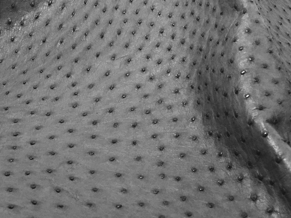 Ostrich Leather Hide, Grey CF