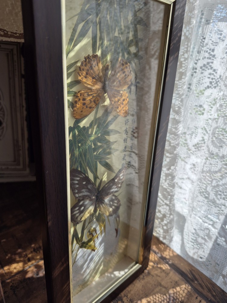 3 Real Framed Butterflies
