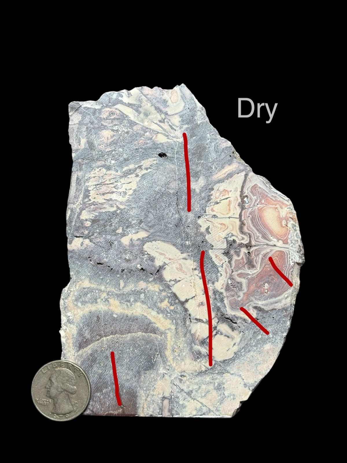 SCIFI PORCELAIN EXOTICA JASPER SLAB - UNPOLISHED Lapidary Rough Rock Mineral