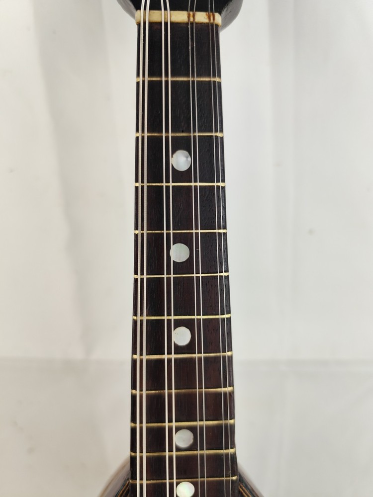 Mandolin 4/4 Viscardo Maccolini 1925 Milan 曼陀林 만돌린マンドリン