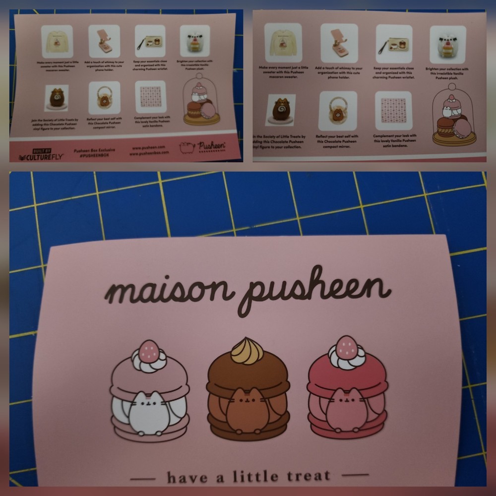 PUSHEEN SUMMER BOX 2025 2 BOXES AVAILABLE. BOTH 3X