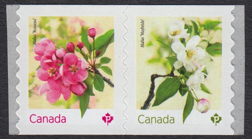 CRABAPPLE BLOSSOM = TYPE-2 Pair from COIL MNH Canada 2021 #3283a