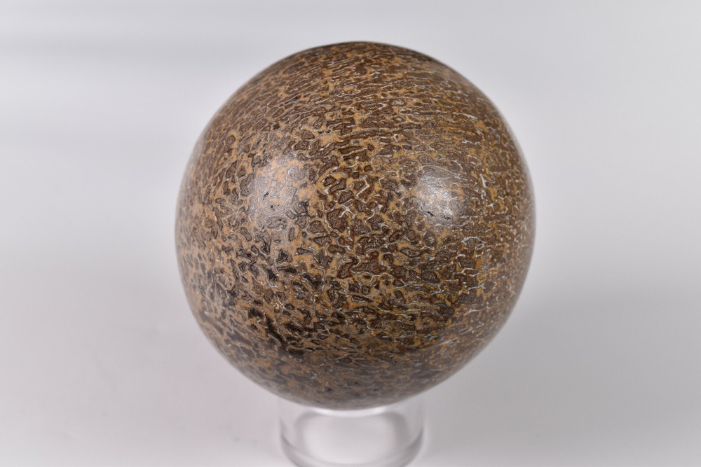 Dinosaur Bone Sphere from Morocco 7.2 cm # 20119