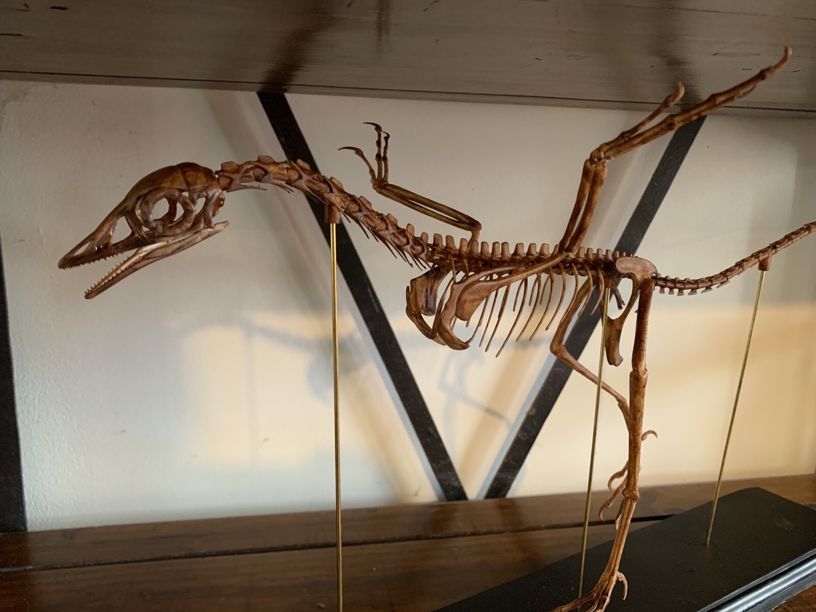 Dinosaur/Replica Skeleton Archaeopteryx of 23 5/8in Base Wood Black