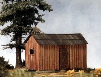 B.T.S. 27425 HO Logging Bunkhouse (3)