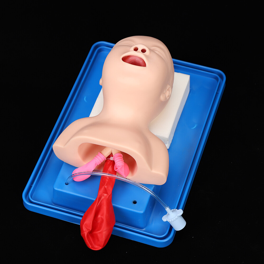 Intubation Manikin Study Baby Infant Teaching Airway Management Trainer Model