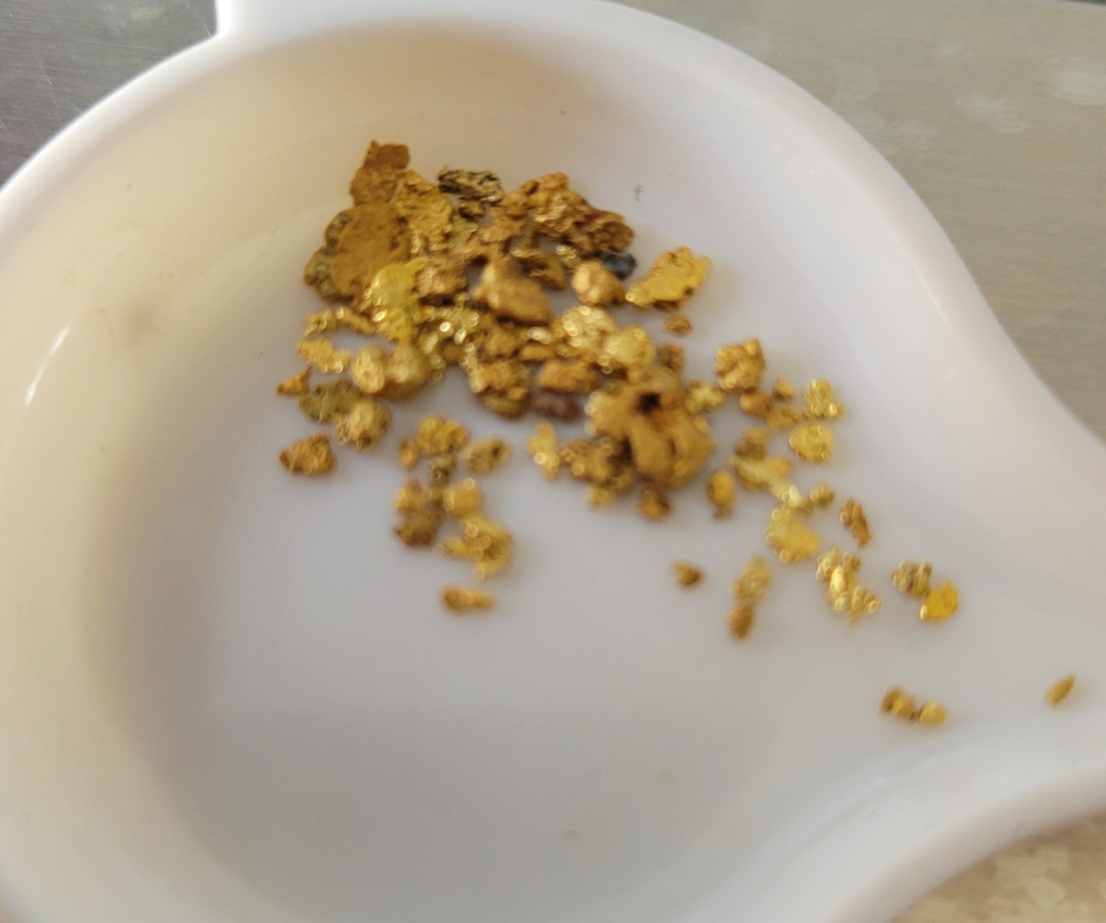 Natural placer Gold 1.00g in Vial 1.00 gram